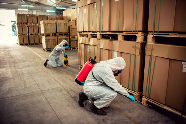 Best Pest Control for Businesses  in Westfield, MA