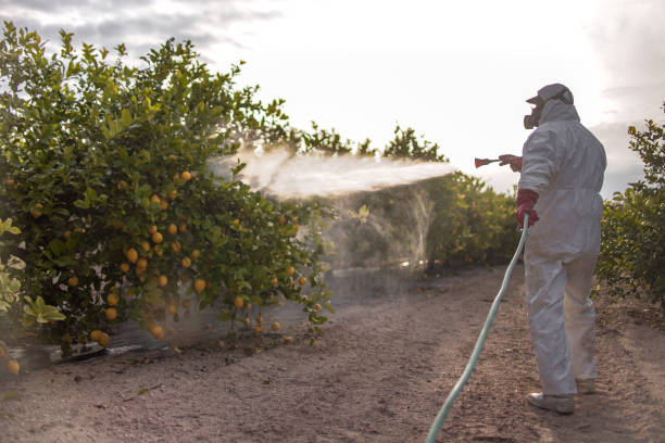 Best Pest Inspection Near Me  in Westfield, MA